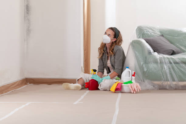 Reliable Black Mold Removal contractor in Poplar Branch, NC by WQB Mold Removal